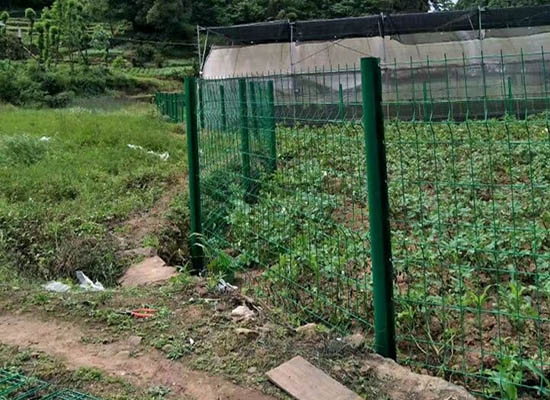 重慶桃形柱麻豆国产一区二区三区四区